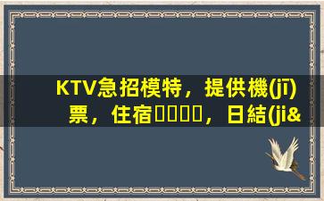 KTV急招模特，提供機(jī)票，住宿，日結(jié)